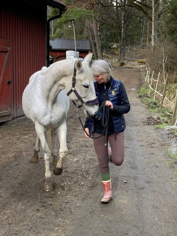 Tillbakablick på "Möte med hästar"