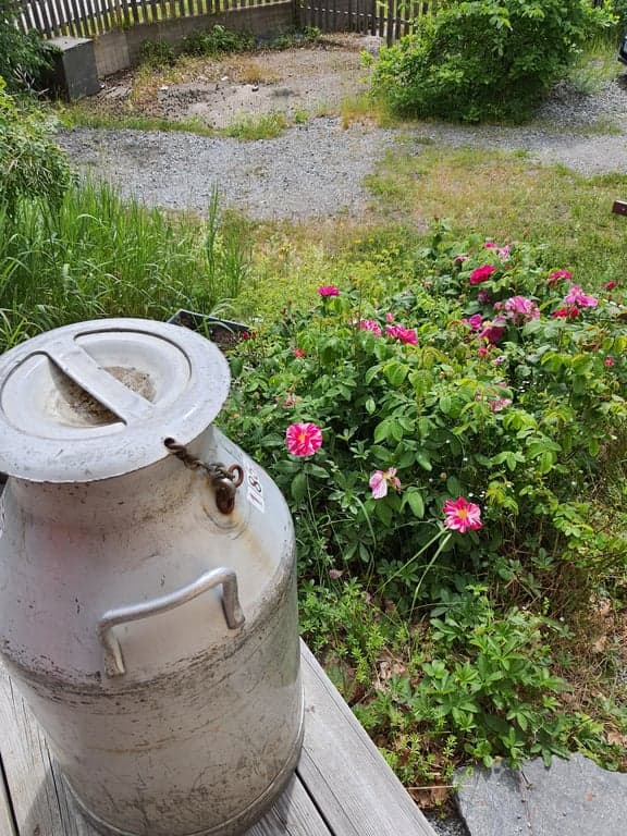 Föreningskonferens
